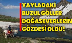 Yayladaki buzul gölleri doğaseverlerin gözdesi oldu!