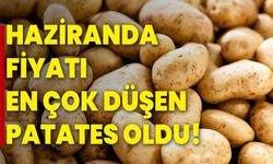 Haziranda Fiyatı En Çok Düşen Patates Oldu!