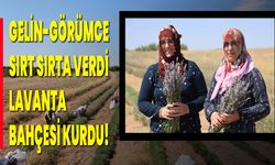 Gelin-Görümce Sırt Sırta Verdi, Lavanta Bahçesi Kurdu