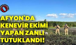 Afyonkarahisar'da Kenevir Ekimi Yapan Zanlı Tutuklandı!