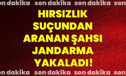 Hırsızlık suçundan aranan şahsı jandarma yakaladı!