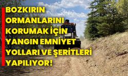 Bozkırın ormanlarını korumak için yangın emniyet yolları ve şeritleri yapılıyor!