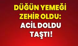 Düğün yemeği zehir oldu: Acil doldu taştı!