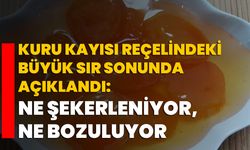 Kuru kayısı reçelindeki büyük sır sonunda açıklandı: Ne şekerleniyor, ne bozuluyor