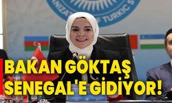 Bakan Göktaş Senegal'e gidiyor!