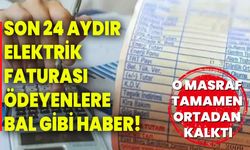 Son 24 aydır elektrik faturası ödeyenlere bal gibi haber! O masraf tamamen ortadan kalktı