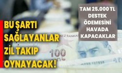 Bu şartı sağlayanlar zil takıp oynayacak! Tam 25.000 TL destek ödemesini havada kapacaklar