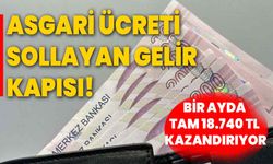 Asgari ücreti sollayan gelir kapısı! Bir ayda tam 18.740 TL kazandırıyor