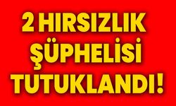 2 hırsızlık şüphelisi tutuklandı!