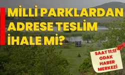 Milli Parklardan Adrese Teslim İhale Mi?