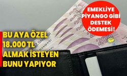 Emekliye piyango gibi destek ödemesi! Bu aya özel 18.000 TL almak isteyen bunu yapıyor