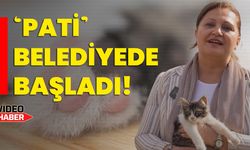 ‘Pati’ belediyede başladı!