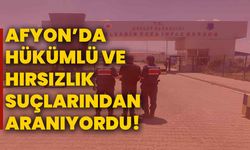 Afyonkarahisar'da Hükümlü ve Hırsızlık Suçlarından Aranıyordu!