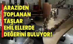 Araziden toplanan taşlar ehil ellerde değerini buluyor!