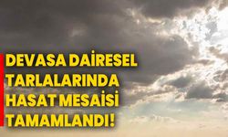 Devasa dairesel tarlalarında hasat mesaisi tamamlandı!