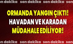 Ormanda Yangın Çıktı! Havadan Ve Karadan Müdahale Ediliyor