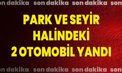 Park Ve Seyir Halindeki 2 Otomobil Yandı