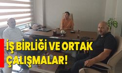 İŞ BİRLİĞİ VE ORTAK ÇALIŞMALAR