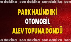 Park Halindeki Otomobil Alev Topuna Döndü