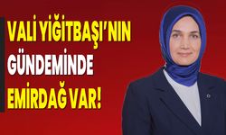 Vali Yiğitbaşı’nın Gündeminde Emirdağ Var!