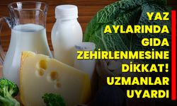 Yaz Aylarında Gıda Zehirlenmesine Dikkat: Uzmanlar Uyardı