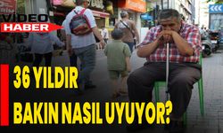 36 Yıldır Bakın Nasıl Uyuyor?