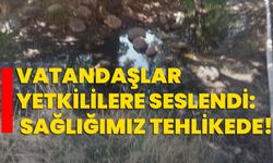 Vatandaşlar yetkililere seslendi: Sağlığımız tehlikede!