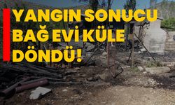 Yangın sonucu bağ evi küle döndü!