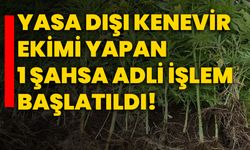 Yasa dışı kenevir ekimi yapan 1 şahsa adli işlem başlatıldı!