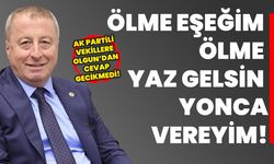 AK Partili vekillere Olgun’dan cevap gecikmedi: Ölme eşeğim ölme yaz gelsin yonca vereyim!