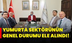 Yumurta sektörünün genel durumu ele alındı!