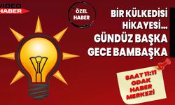 BİR KÜLKEDİSİ HİKAYESİ…GÜNDÜZ BAŞKA GECE BAMBAŞKA