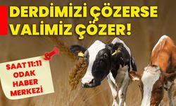 Derdimizi çözerse valimiz çözer