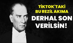 Tiktok'taki Bu Rezil Akıma Derhal Son Verilsin!