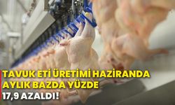 Tavuk eti üretimi haziranda aylık bazda yüzde 17,9 azaldı!