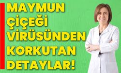 Maymun çiçeği virüsünden korkutan detaylar!