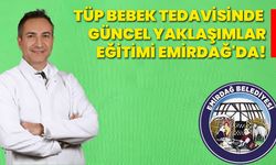 Tüp bebek tedavisinde güncel yaklaşımlar eğitimi Emirdağ'da!