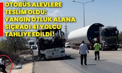 Otobüs alevlere teslim oldu: Yangın otluk alana sıçradı, 41 yolcu tahliye edildi!