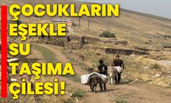 Çocukların eşekle su taşıma çilesi!