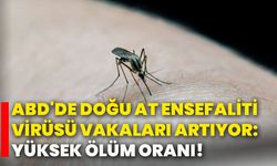 ABD'de Doğu At Ensefaliti Virüsü vakaları artıyor: Yüksek ölüm oranı!