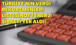 Türkiye'nin vergi rekortmenleri listesinde 7 enerji şirketi yer aldı!