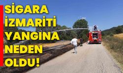 Sigara izmariti yangına neden oldu!