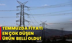 Temmuzda fiyatı en çok düşen ürün belli oldu!