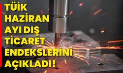 TÜİK haziran ayı dış ticaret endekslerini açıkladı!