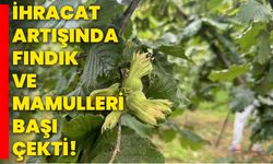 İhracat artışında fındık ve mamulleri başı çekti!