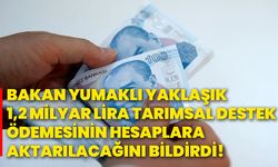 Bakan Yumaklı, yaklaşık 1,2 milyar lira tarımsal destek ödemesinin hesaplara aktarılacağını bildirdi!