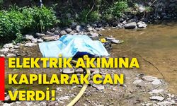 Elektrik akımına kapılarak can verdi!