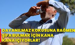 Dayanılmaz kokusuna rağmen şifa bulmak için kana kana içiyorlar!