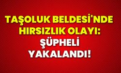 Taşoluk Beldesi'nde hırsızlık olayı: Şüpheli yakalandı!