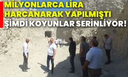 Milyonlarca lira harcanarak yapılmıştı, şimdi koyunlar serinliyor!